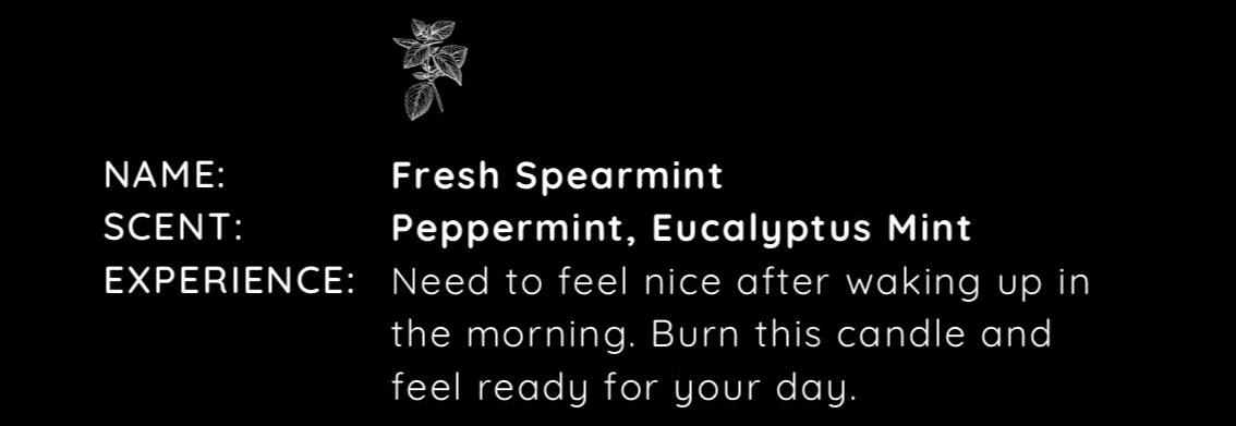 Fresh Spearmint: Energize Your Day with Invigorating Aromas